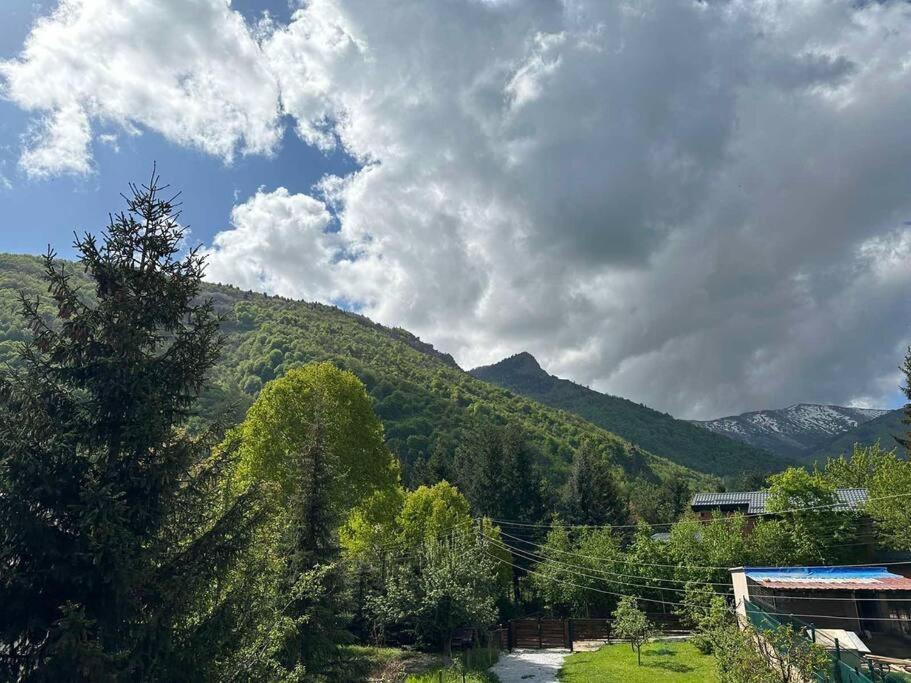 Cosy Mountain Villa In Nizepole Bitola Exteriör bild